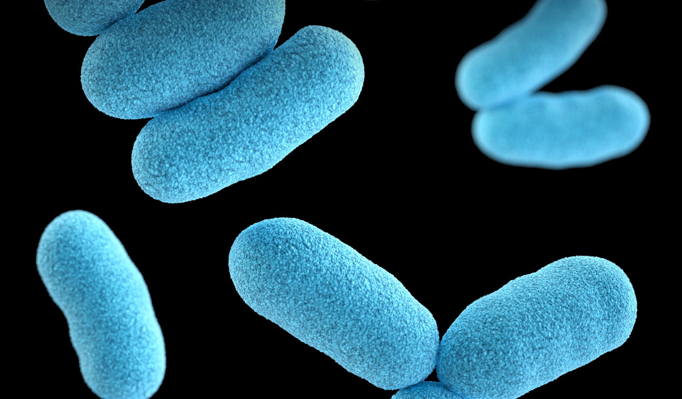 Quimiossíntese: processo, bactérias e mais!