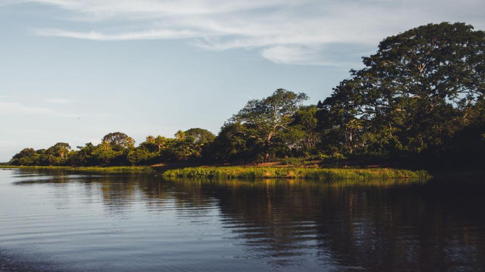 Pantanal - planície alagada