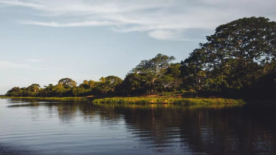 Infantaria do Pantanal: o que é, atuação e muito mais!