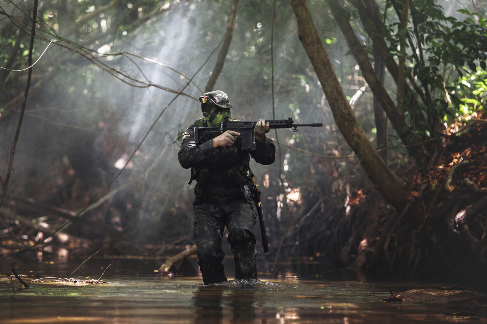 Floresta equatorial: confira sobre o assunto cobrado nas provas militares