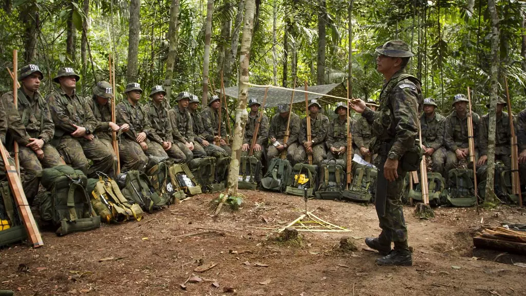 Militares do exército na floresta equatorial